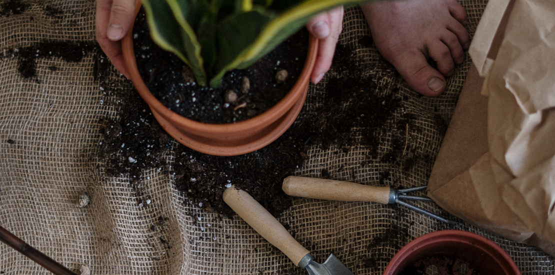 Auto generated site gardening service
