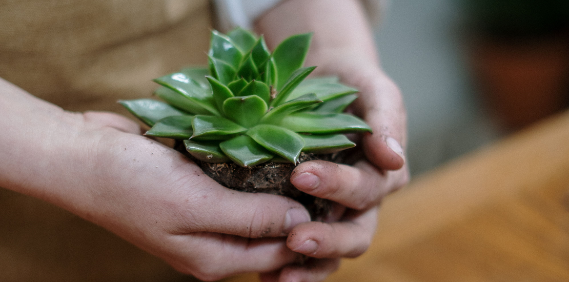Auto generated site gardening service
