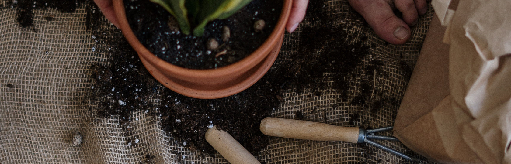 Auto generated site gardening service
