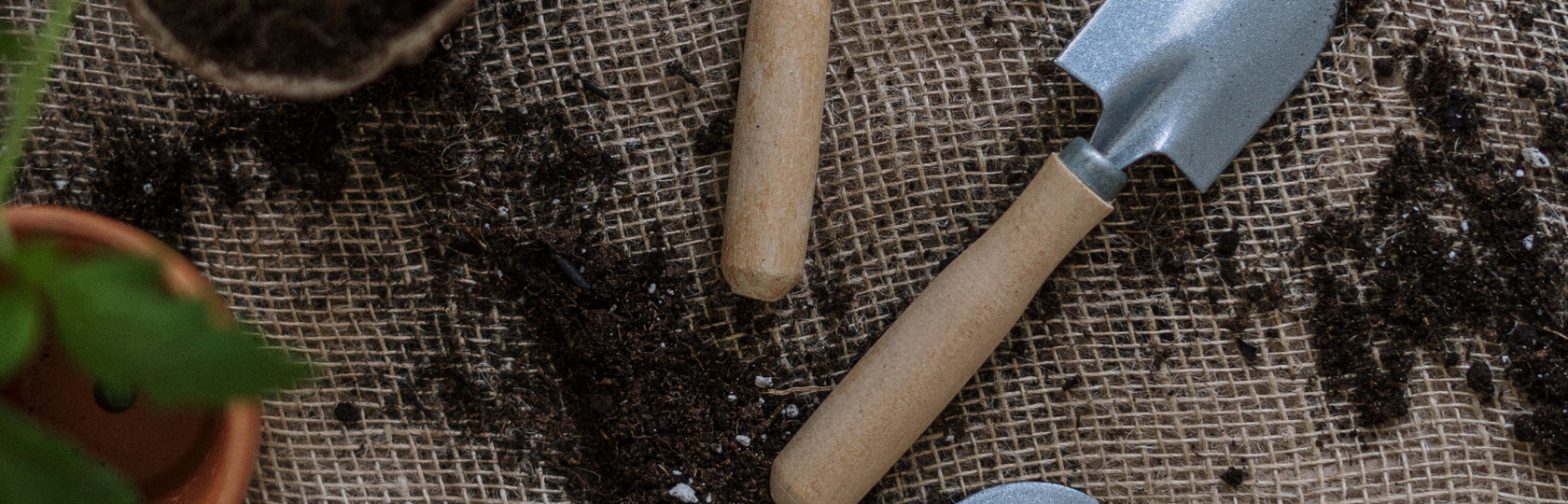 Auto generated site gardening service