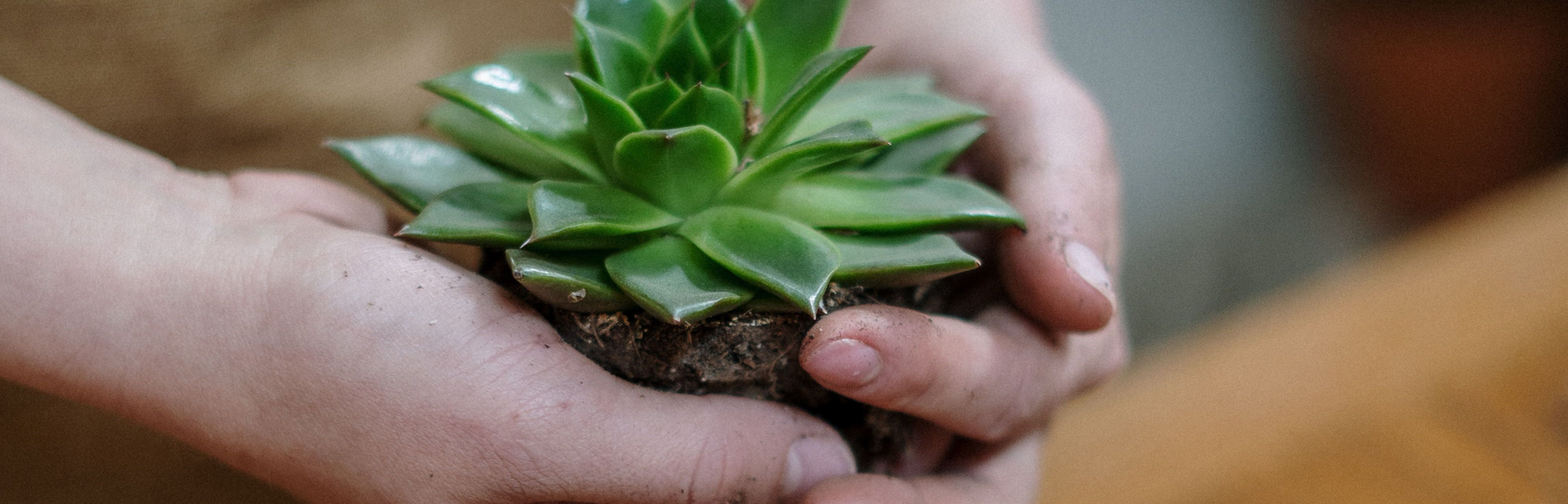 Auto generated site gardening service