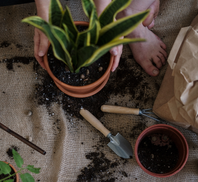 Auto generated site gardening service