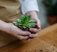Auto generated site gardening service