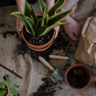 Auto generated site gardening service