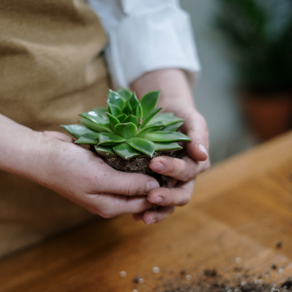 Auto generated site gardening service