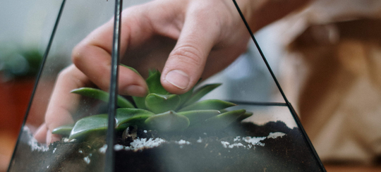 Auto generated site gardening service