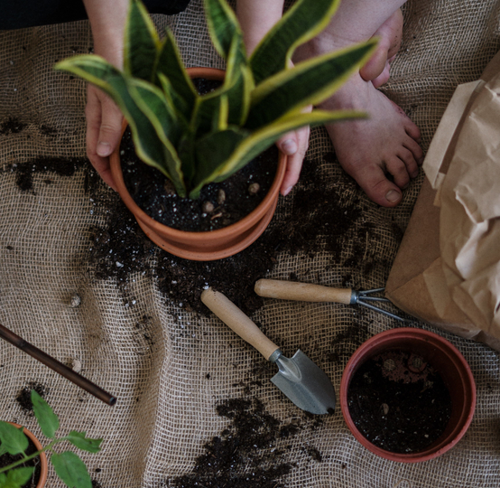 Auto generated site gardening service