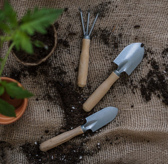 Auto generated site gardening service
