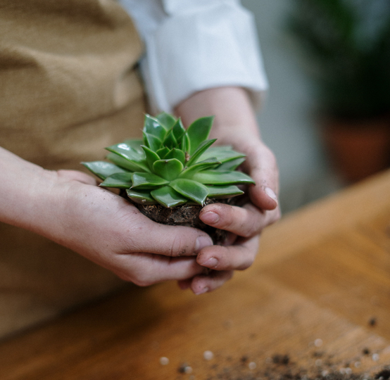 Auto generated site gardening service