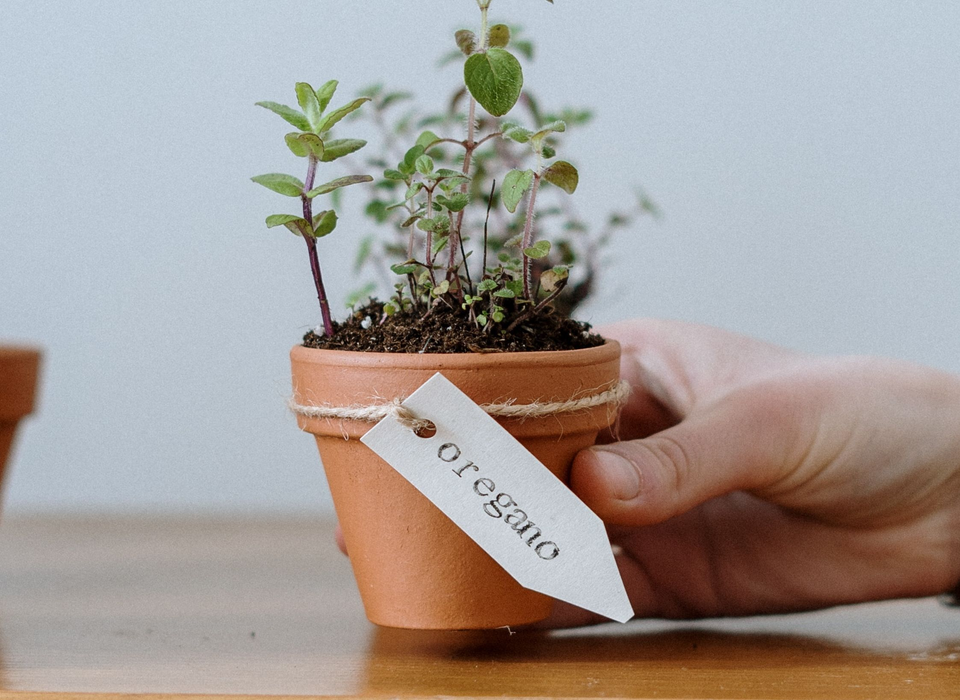 Auto generated site gardening service